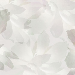 Eternity AP026-1 | Pattern plants / flowers | RIMURA