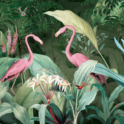 Flamingo in love VE112-1 | Revêtements muraux / papiers peint | RIMURA