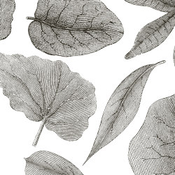 Giant Leaves VE062-1 | Revêtements muraux / papiers peint | RIMURA