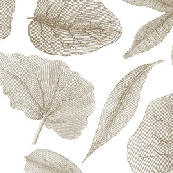 Giant Leaves VE062-2 | Pattern plants / flowers | RIMURA