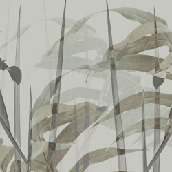 Narciso AP086-3 | Revêtements muraux / papiers peint | RIMURA