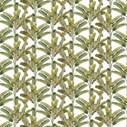 Palmizio VE148-1 | Pattern plants / flowers | RIMURA