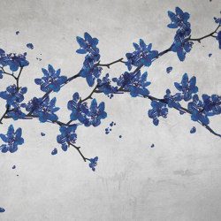 Primavera VE002-3 | Wall coverings / wallpapers | RIMURA