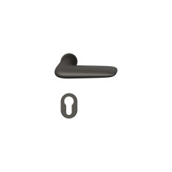 FSB 15 1291 Plug-in Handle for Doors | Juego picaportes | FSB