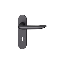 FSB 72 1293 Lever handle | Hinged door fittings | FSB