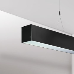 Notus 14 Up Down Linear LED SP