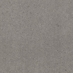 Stonetech Grey | Ceramic tiles | Casalgrande Padana