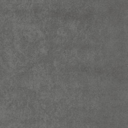 Sfinx | Colour grey | GLAMORA