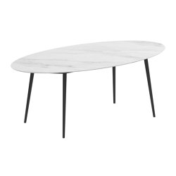 Styletto Table 250X130 | Tabletop oval | Royal Botania