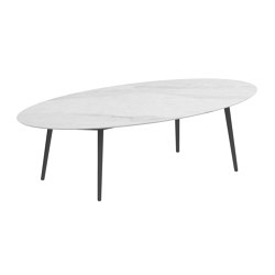 Styletto Low Dining Table 250X130 | Tabletop oval | Royal Botania