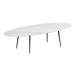 Styletto Standard Dining Table 320X140 | Tabletop oval | Royal Botania