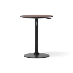 Branch Side Table | Dark Stained Oak | Tavolini alti | Audo Copenhagen