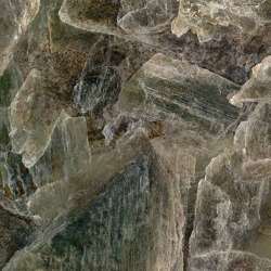 Dargon Scale 3 | Wall art / Murals | TECNOGRAFICA