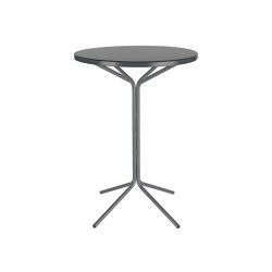 Metal bistro standing table PIX ø60/110 | Tabletop round | Schaffner AG
