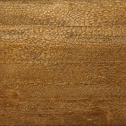 PLANK.HI-TECH METAL | Wood panels | Sapiens