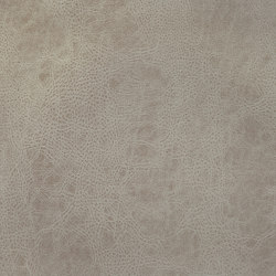A1521/143 | Upholstery fabrics | Englisch Dekor