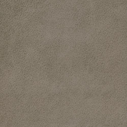 A1814/140 | Upholstery fabrics | Englisch Dekor