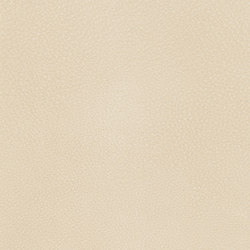 A2150/140 | Upholstery fabrics | Englisch Dekor