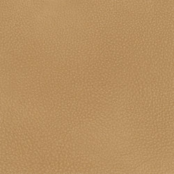 A2151/140 | Upholstery fabrics | Englisch Dekor