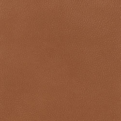 A2152/140 | Upholstery fabrics | Englisch Dekor