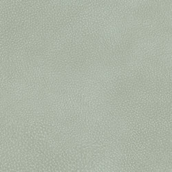 A2153/140 | Upholstery fabrics | Englisch Dekor
