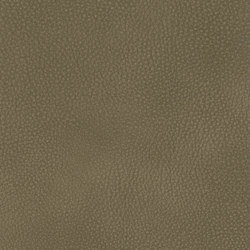 A2154/140 | Upholstery fabrics | Englisch Dekor