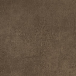 A2704/140 | Upholstery fabrics | Englisch Dekor