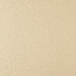 A2858/140 | Upholstery fabrics | Englisch Dekor