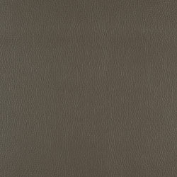 A2872/140 | Upholstery fabrics | Englisch Dekor