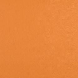 A2882/140 | Upholstery fabrics | Englisch Dekor