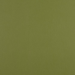 A2888/140 | Upholstery fabrics | Englisch Dekor