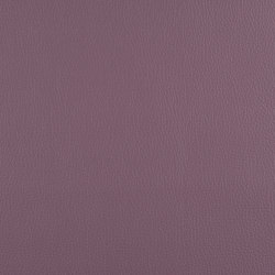A2890/140 | Upholstery fabrics | Englisch Dekor