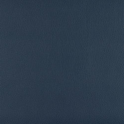 A2893/140 | Upholstery fabrics | Englisch Dekor