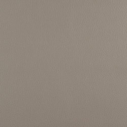 A2904/140 | Upholstery fabrics | Englisch Dekor