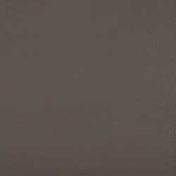A2994/140 | Upholstery fabrics | Englisch Dekor