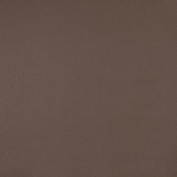A2995/140 | Upholstery fabrics | Englisch Dekor