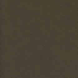 A3015/138 | Upholstery fabrics | Englisch Dekor