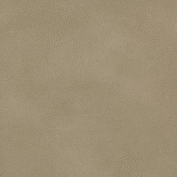 A3722/140 | Upholstery fabrics | Englisch Dekor
