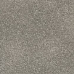 A3728/140 | Upholstery fabrics | Englisch Dekor