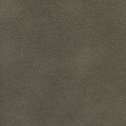 A3729/140 | Upholstery fabrics | Englisch Dekor