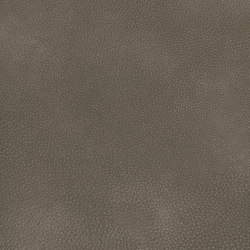 A3730/140 | Upholstery fabrics | Englisch Dekor