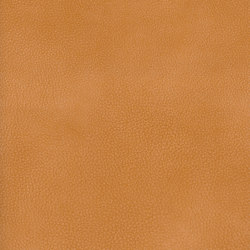 A3733/140 | Upholstery fabrics | Englisch Dekor