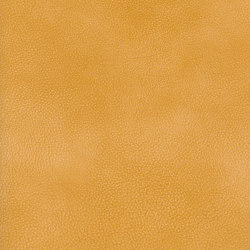A3734/140 | Upholstery fabrics | Englisch Dekor