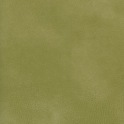 A3735/140 | Upholstery fabrics | Englisch Dekor