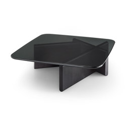 type | Coffee tables | Fiam Italia