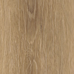 Form Woods - 0,7 mm I Esker Oak | Vinyl flooring | Amtico