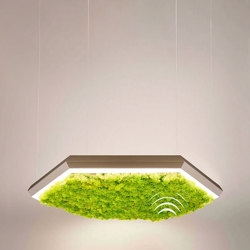 Exagon Silence Green | Suspended lights | OLEV