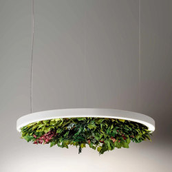 Gavin Silence Leaf | Suspended lights | OLEV