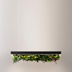 Meeting Silence Leaf | Suspended lights | OLEV