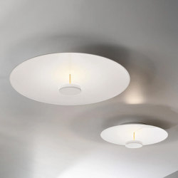 Overfly Plus PL | Ceiling lights | OLEV